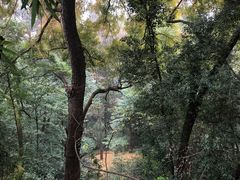-金堂县云顶石城风景区