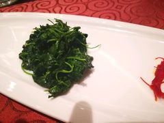 -绿波廊七号(豫园新路店)