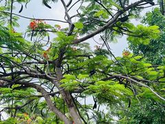 -三亚南山文化旅游区