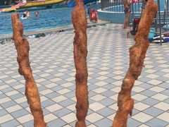 -青年湖公园水上世界