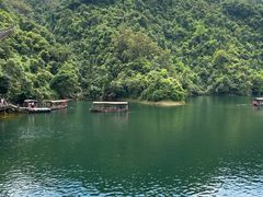 -鼎湖山风景区