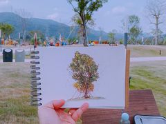 -白石龙音乐公园