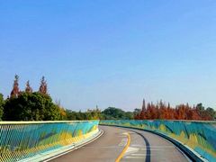 -白鹭湾湿地公园