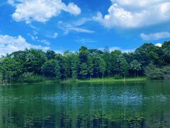 -水濂山森林公园