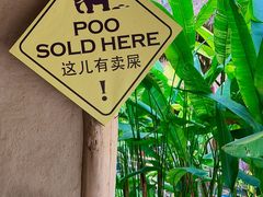 -大象粑粑造纸公园