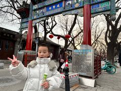 -北京国子监胡同