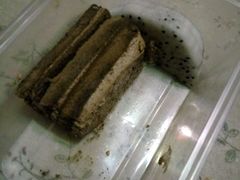 -路易十三西餐厅(西关新天地店)