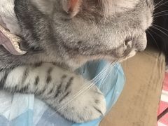 -北京华联购物中心(天通苑店)