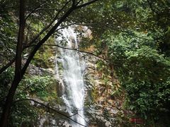 -鼎湖山风景区