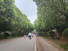 -南京市江宁方山