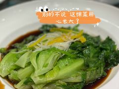 广东菜心-紫光园·烤鸭(吕家营店)