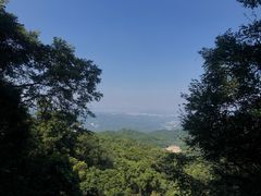 -广州市帽峰山景区
