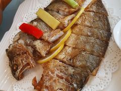 -骏莱海鲜鱼港(五角场店)