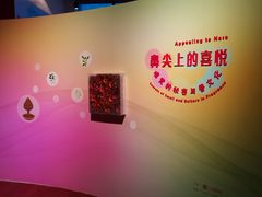 门面-广东省博物馆