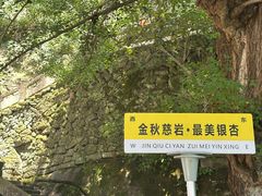 -大慈岩风景区