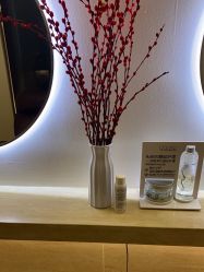 -Mentor Hair Salon