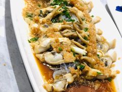 -老绍兴养和饭店(向阳不夜城店)