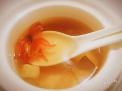 -诺莱仕游艇会