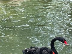 -燕塞湖鸟语林景区