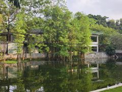 -荔湾湖公园