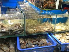 -岳各庄批发市场(西四环中路店)