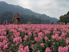 -广州市石门国家森林公园