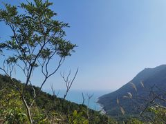 -鹿嘴山庄