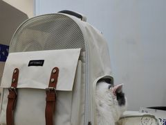 -拜鲁耶动物诊疗中心·宠家动物医院