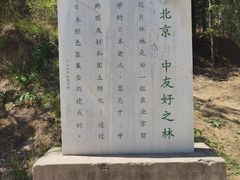 -北京鹫峰国家森林公园