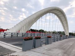 -福田红树林生态公园