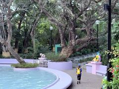 -九龙公园