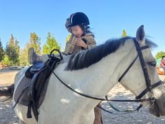 -北京群众马术培训基地