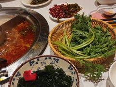 -东道煮牛肉火锅(东盛大街店)
