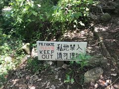 -怀希基岛