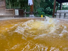 -春晖园度假酒店温泉