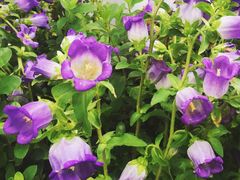 -新竹里馆·花园餐厅(兴苑路店)