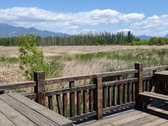 -野鸭湖国家湿地公园