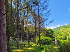 -萨尔浒风景区