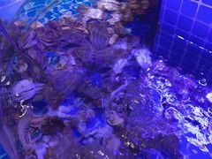 -五月罗马海鲜烤肉自助餐厅(印象城店)