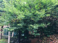 -红莲湖旅游度假区