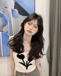 -IDOL-PLUS