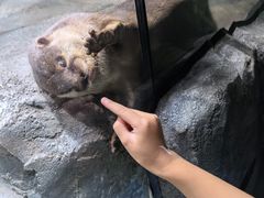-海合安成都极地海洋公园