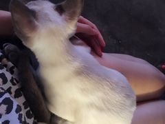 Mikaku(Mikaku万达店)-MIKAKU(万达广场上海宝山店)