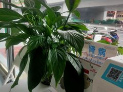 -汪喵宠物医院·骨科心脏影像·犬猫急重症ICU诊疗中心(成华分院)