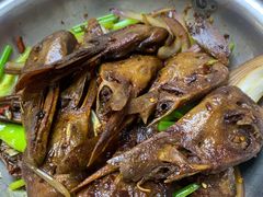 -鸿运美食府