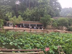 -韶山毛泽东同志故居