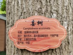 -新虹桥中心花园