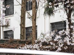 -鸡鸣寺