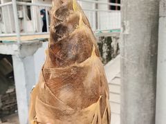 -鹿亭中村