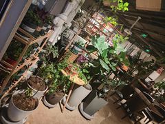 -百好乐宠物友好餐厅(朝外大街店)